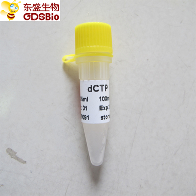 dCTP #P9091 1ml PCR qPCR
