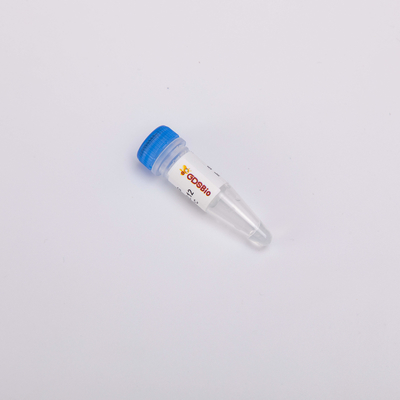 dUTP #P9071 1ml PCR qPCR