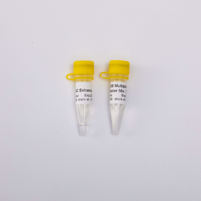 1ml 2X NGS Multiplex PCR Master Mix 40 Reactions GDSBio
