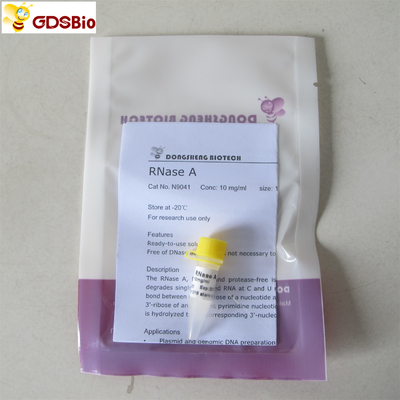 1ml RNase A Solution N9041  Colourless Solution