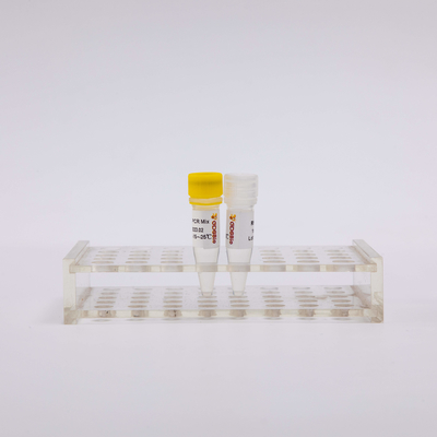 2X One Step RT PCR Mix For RNA Reverse Transcription RP1001