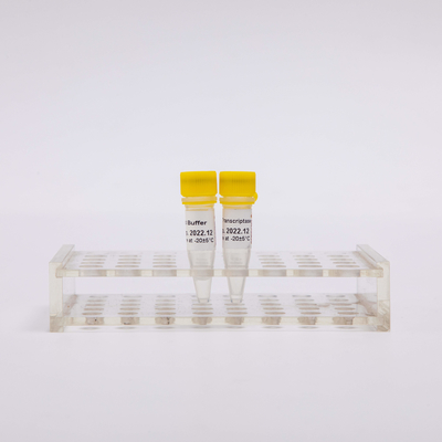 Gold Reverse Transcriptase PCR Reagents R3001 2000U