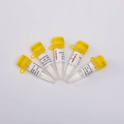 2019-NCoV-AbEN Pseudovirus 1ml Nucleic Acid Extraction Kit