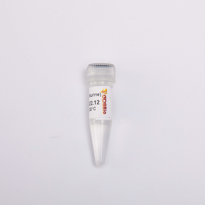 20000U RNase Inhibitor Murine R4001 Colourless Appearance