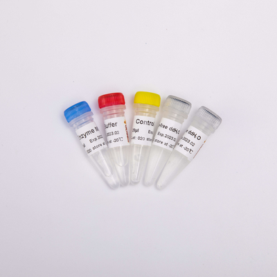 R1031 GDSBio RT PCR Mix For QPCR Premixed Reverse Transcriptase PCR Reagents