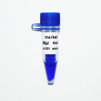 Marker 1 DNA Marker Electrophoresis 400bp 50ug Blue Appearance