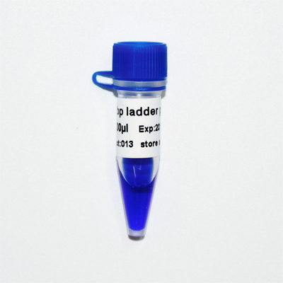 Blue Appearance 50bp DNA Ladder Electrophoresis 50ug