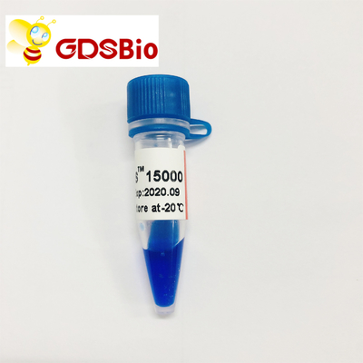 DS LD 15000bp 15kb DNA Marker Electrophoresis 50 Preps