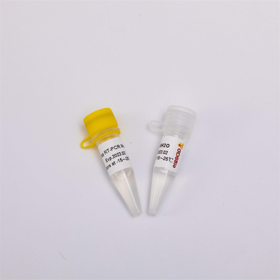 RNA Reverse Transcription And Endpoint PCR Kit One Step RT PCR Mix RP1001