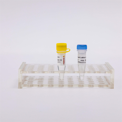 Heat Labile Anti Contamination UDG Enzyme Molecular Biology For QPCR R5001 1 U/μL
