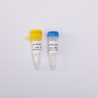 Heat Labile Anti Contamination UDG Enzyme Molecular Biology For QPCR R5001 1 U/μL