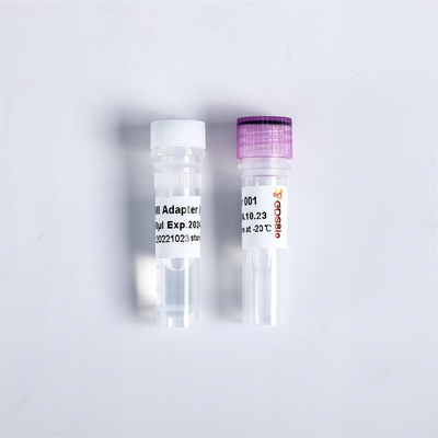 PCR NGS Library Construction UDI UMI Adapters Primers For Illumina K003-A K003-B K003-C K003-D