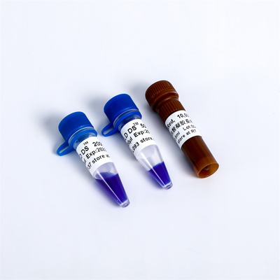 10000× DSRed Nucleic Acid Gel Stain Non Toxic Specific Reagents