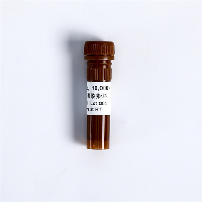 Stable Non Toxic DSRed Nucleic Acid Gel Stain 10000x  0.5ml Fluorescent Nucleic Acid Dye