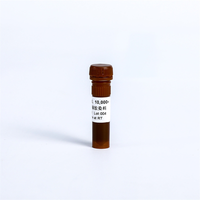 Stable Non Toxic DSRed Nucleic Acid Gel Stain 10000x  0.5ml Fluorescent Nucleic Acid Dye