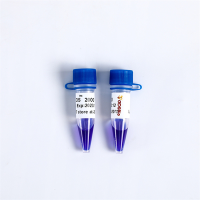 High Purity Reagents LD DS 2000 DNA Marker Gel Electrophoresis LM1101 LM1102