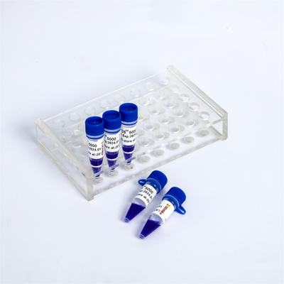 GDSBio Pre Staining Gel LD DS 5000 DNA Marker Electrophoresis Blue LM1111 LM1112