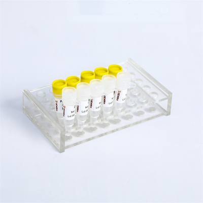 P2101 PCR Master Mix Kit 400 Rxn 20μL Reaction