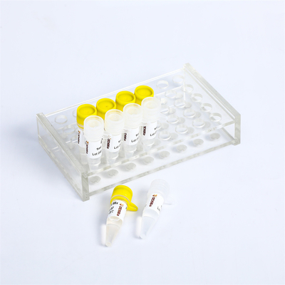P2101 PCR Master Mix Kit 400 Rxn 20μL Reaction