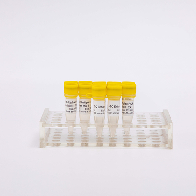 NGS Multiplex 100X Amplification Fidelity PCR Master Mix 400 Reactions Colourless