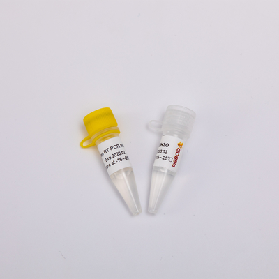 GDSBio RNA Reverse Transcription And Endpoint PCR Kit One Step RT Mix RP1001