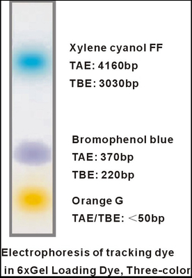 6× Gel Loading Dye Three Color DNA Electrophoresis Buffer EDTA 1mlx5