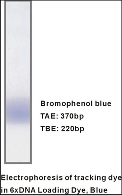 M9051 1mlx5 6× Gel Loading Buffer DNA Electrophoresis Specific Reagents