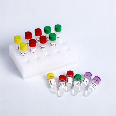 High Quality Fast DNA NGS Library Plus Prep Kit For MGI KM004-A, KM004-B
