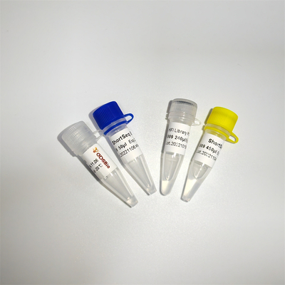 Convenient And Fast DNA Illumina Library Construction Solution For Short Sequence DNA Samples