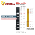 High Purity Reagents 20bp DNA Marker Ladder Gel Electrophoresis