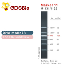 Marker 11 DNA ladder M1131 (50μg)/M1132 (5×50μg)