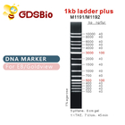 1kb Ladder Plus 1000bp DNA Marker M1191 (50μg)/M1192 (5×50μg)