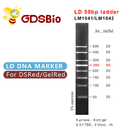 LM1041 GDSBio LD 50bp Gel Electrophoresis Marker Ladder