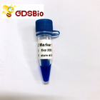 Blue Appearance LD Marker 1 DNA Marker Electrophoresis