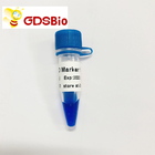 Blue Appearance LD Marker 1 DNA Marker Electrophoresis