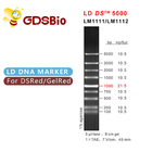 GDSBio LD DS 5000 DNA Marker Electrophoresis Blue Appearance