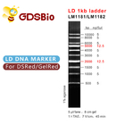 LD 1kb Ladder 1000bp DNA Marker LM1181 (50 preps)/LM1182 (50 preps×5)