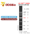 10000bp 10kb DNA Ladder Electrophoresis High Purity Reagents