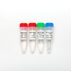 HS Hotstart Taq DNA Polymerase PCR Master Mix P1091 500U High Specificity