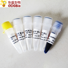 GDSBio High quality Taq DNA Polymerase P1014 1000U