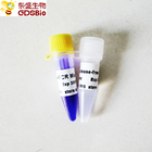 2x Taq PCR Reaction Mix P2011 1ml GDSBio Blue Buffer