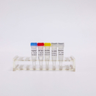 RT PCR Mix For QPCR Premixed Reverse Transcriptase PCR Reagents R1031