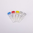 RT PCR Mix For QPCR Premixed Reverse Transcriptase PCR Reagents R1031