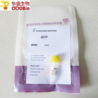 dCTP for PCR qPCR P9091 0.5ml
