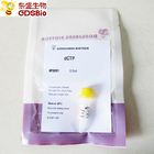 dCTP for PCR qPCR P9091 0.5ml