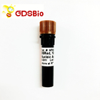 Non Toxic DSRed Nucleic Acid Gel Stain 10000x 0.5ml