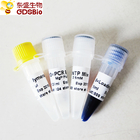 GDSBio Taq DNA Polymerase For PCR Master Mix