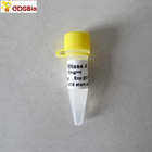 1ml RNase A Solution N9041  Colourless Solution