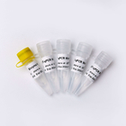 30uL/Rxn One Step QPCR Master Mix 200 Rxn Colourless Appearance