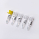 30uL/Rxn One Step QPCR Master Mix 200 Rxn Colourless Appearance